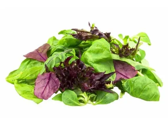 Del Monte Mixed Chopped Lettuce 500g  